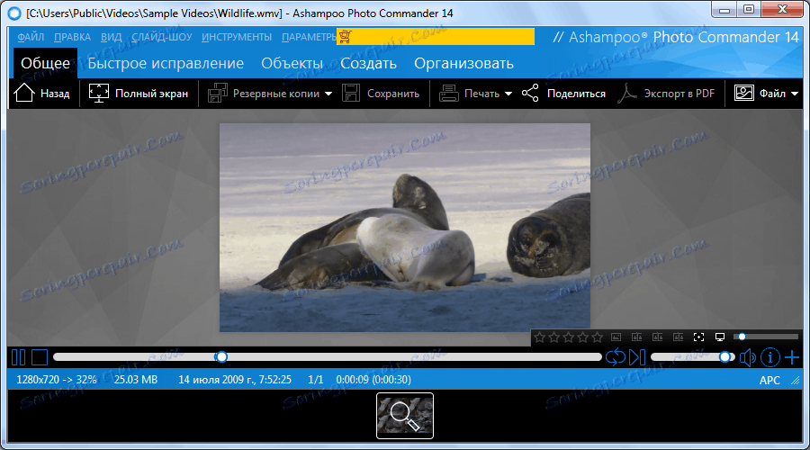 Преглед на видеоклип в Ashampoo Photo Commander