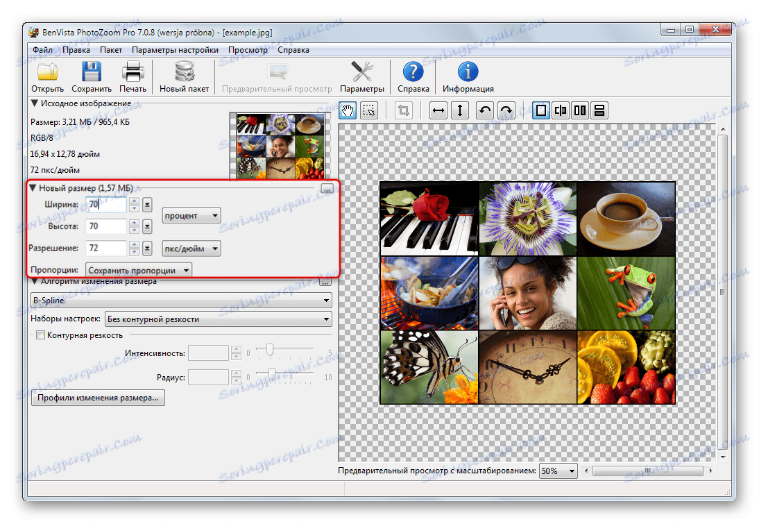 Postopek spreminjanja velikosti slik v Benvista PhotoZoom Pro