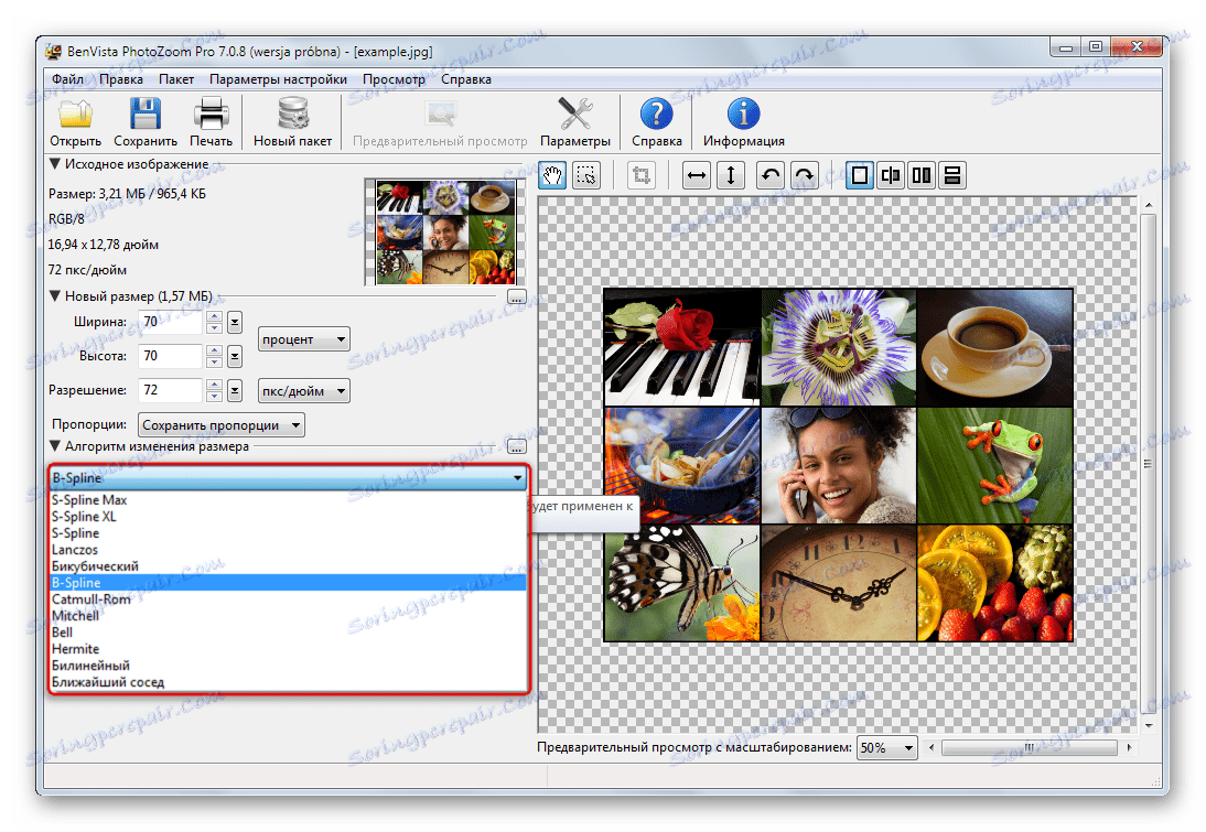 Veliko algoritmov za spreminjanje velikosti slike v Benvista PhotoZoom Pro