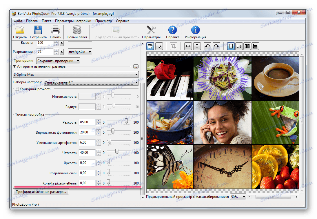 Zmožnost ročnega prilagajanja velikosti slik v Benvista PhotoZoom Pro