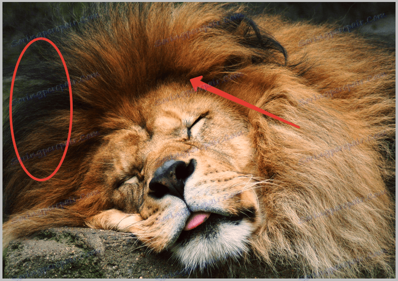 Корекция на цветовете във Photoshop