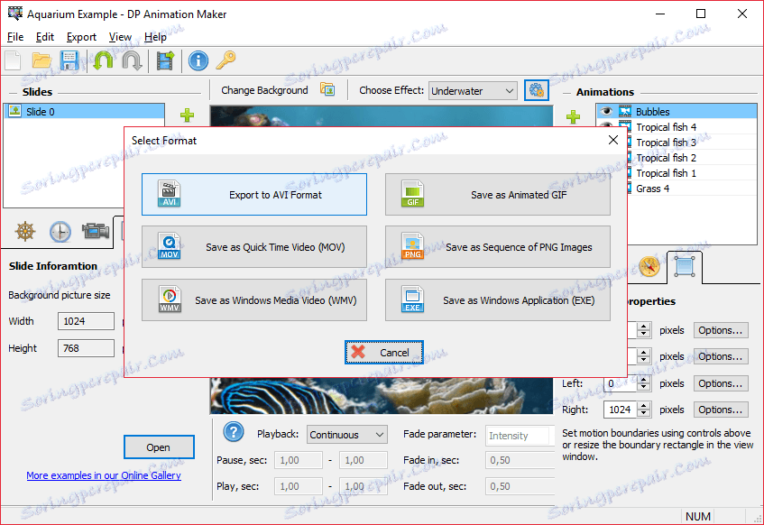 DP Animation Maker 3.5.19 for windows download free