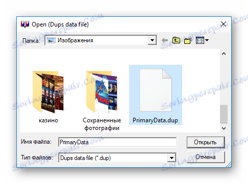 Відкриття галереї створеної в Dup Detector