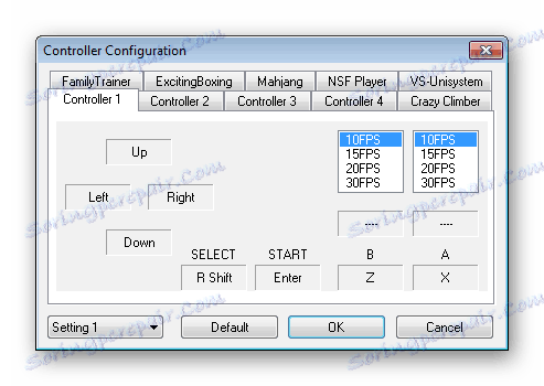 إعدادات المحاكي virtua NES