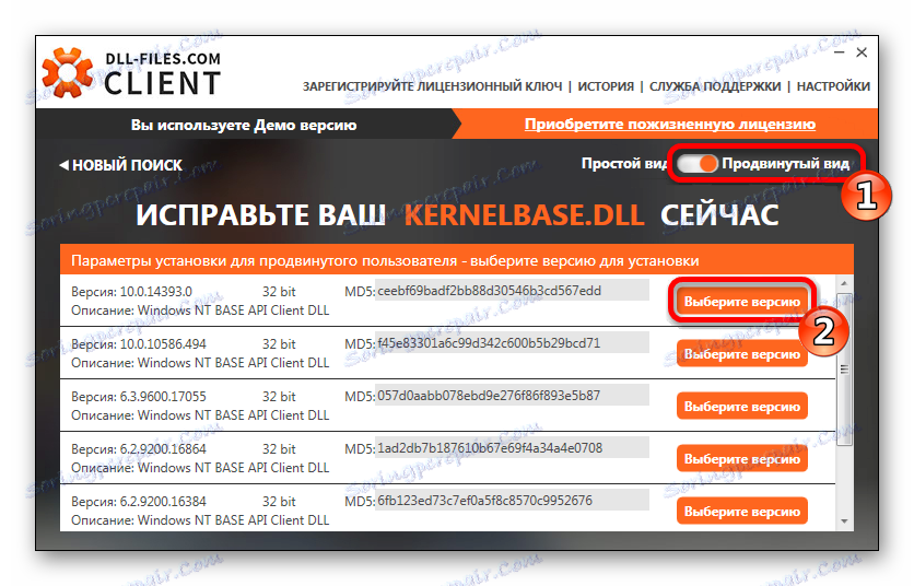Rozšírený pohľad na klienta DLL-Files.com