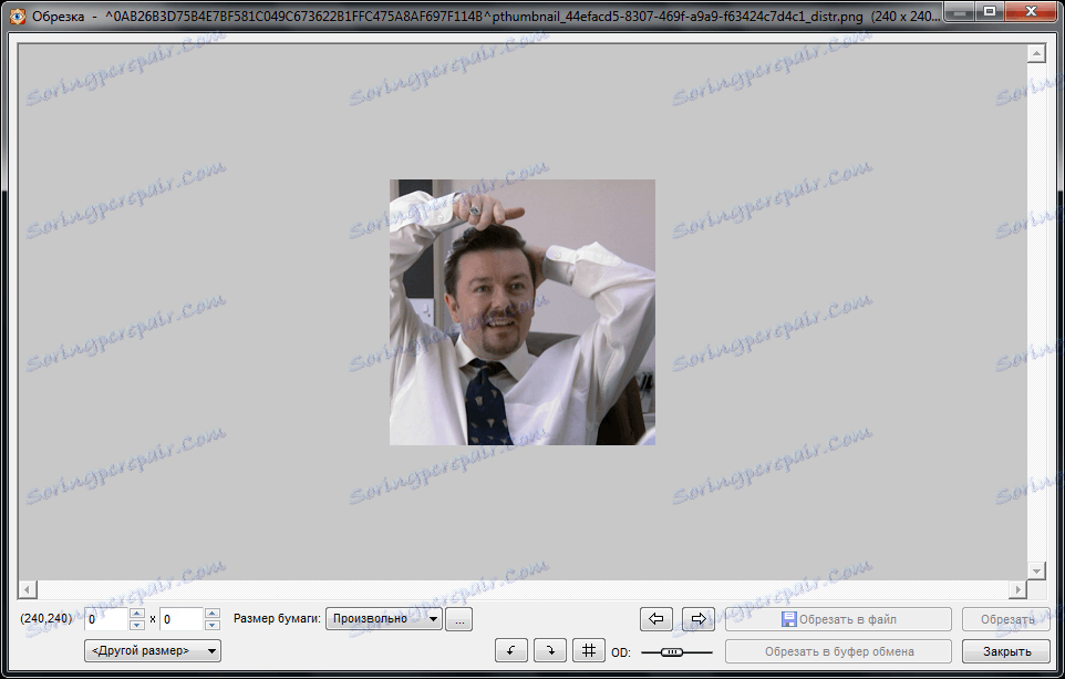 Изрязване на изображения в визуализатора на изображения на Faststone