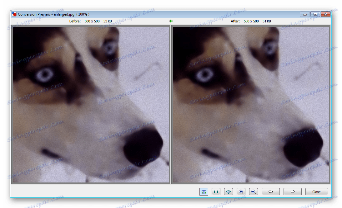 Ogled FastStone Photo Resizer