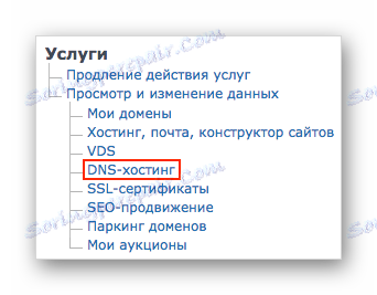 dns хостинг