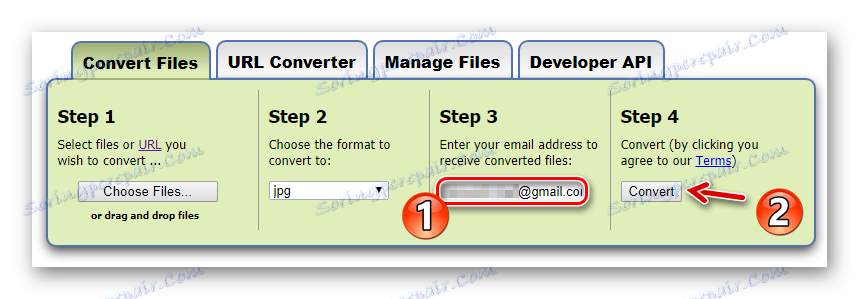 Navedite e-poštni naslov za prejemanje povezave s pretvorjeno datoteko v Zamzar