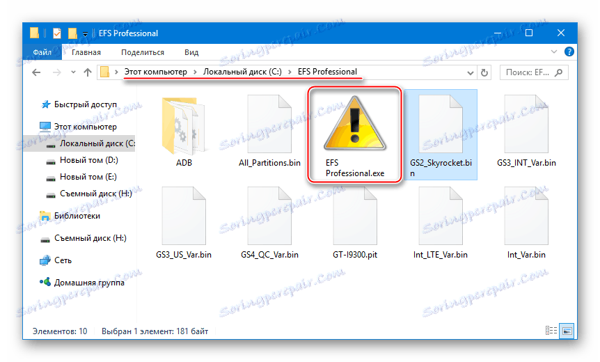 Samsung GT-I9300 Galaxy S III spustiť EFS Professional