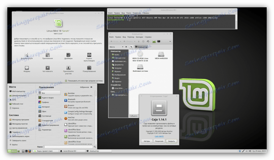 скріншот робочого столу linux mint
