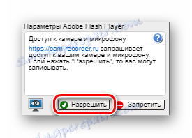 Кнопка дозволу доступу від плеєра Adobe Flash Player