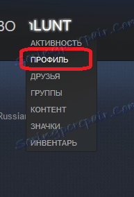 Přechod do profilu ve službě Steam