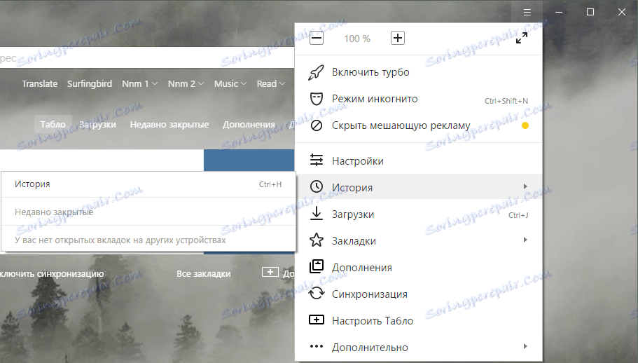 Historie v prohlížeči Yandex