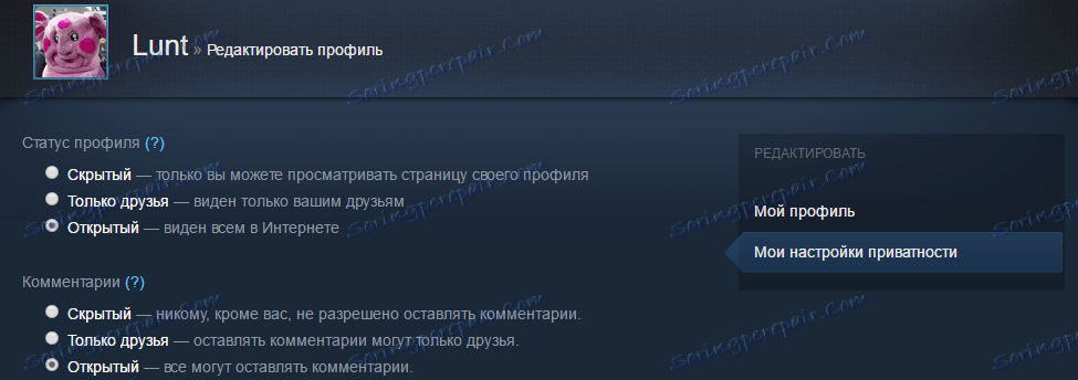 Настрой стим. Приватность профиля в стим. Настройка профиля стим. Настройки приватности стим. Статусы стим профиля.