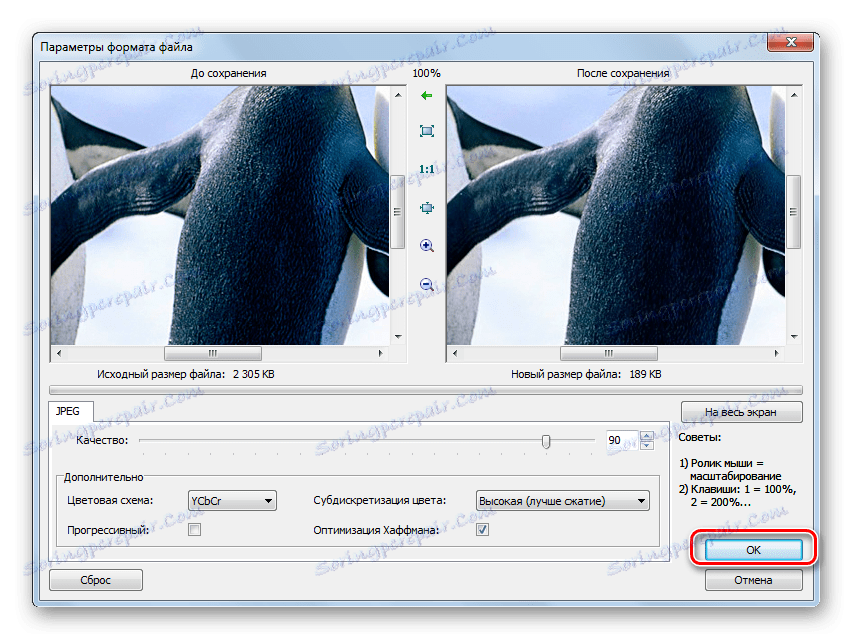 Вікно параметрів формату файлу в програмі FastStone Image Viewer