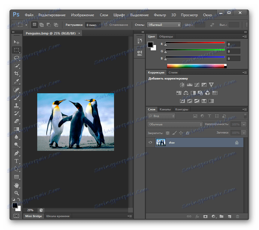 Зображення BMP відкрито в програмі Adobe Photoshop