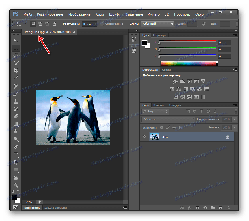 Зображення перетворено в формат JPG в програмі Adobe Photoshop