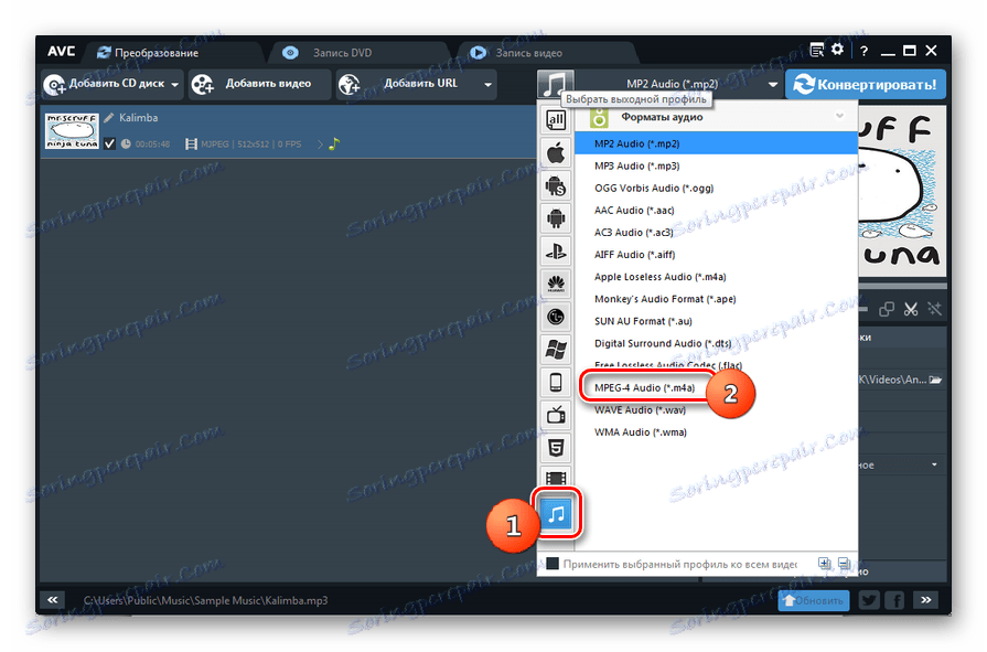 Wybierz format w programie Any Video Converter