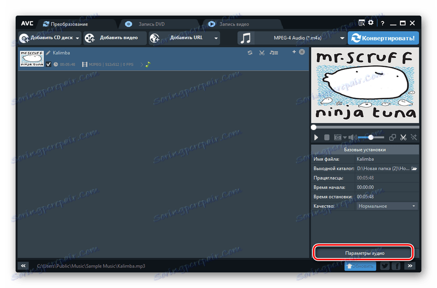 Przejdź do parametrów audio w programie Any Video Converter