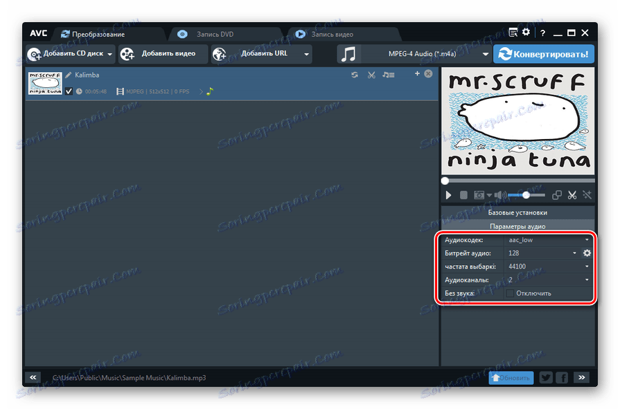 Okno parametrów audio w programie Any Video Converter