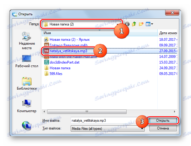 Okno za dodajanje datotek v program Any Video Converter