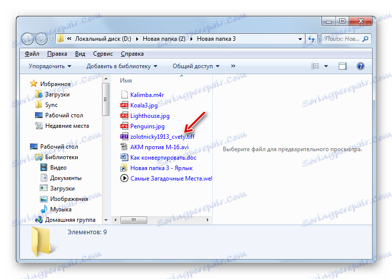 Przekonwertowany plik TIFF w jego folderze lokalizacji w Eksploratorze Windows
