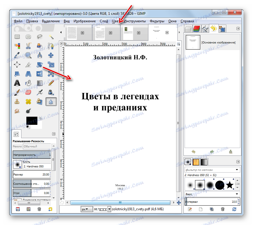Dokument PDF importowany do programu Gimp