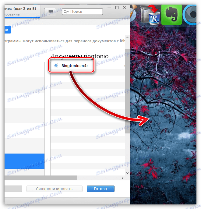 Експорт рингтон з iTunes на комп'ютер