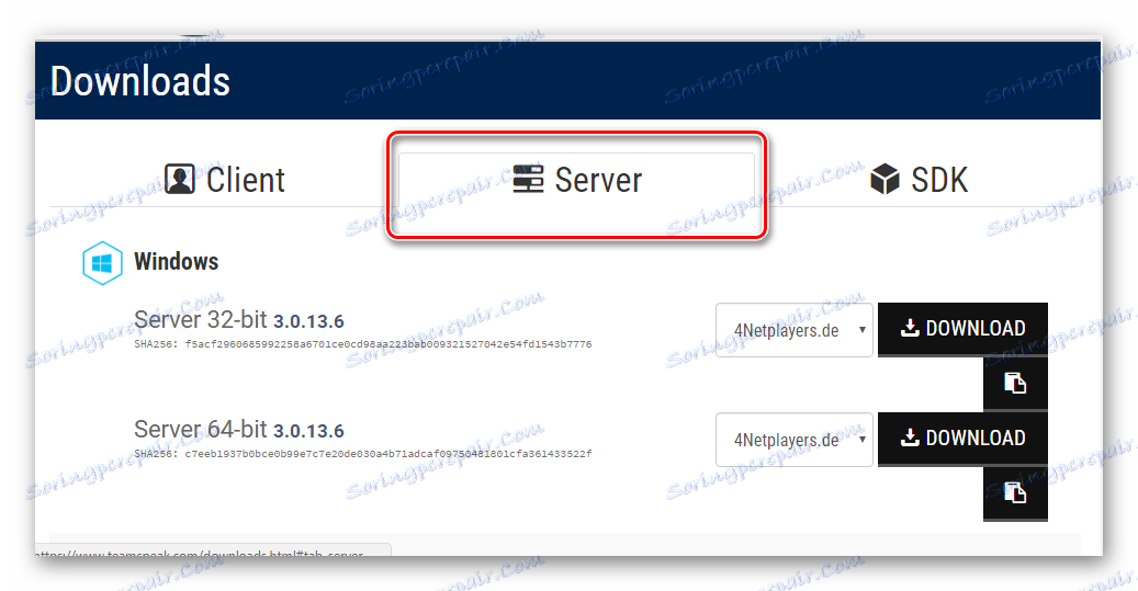Stiahnite si server TeamSpeak 3