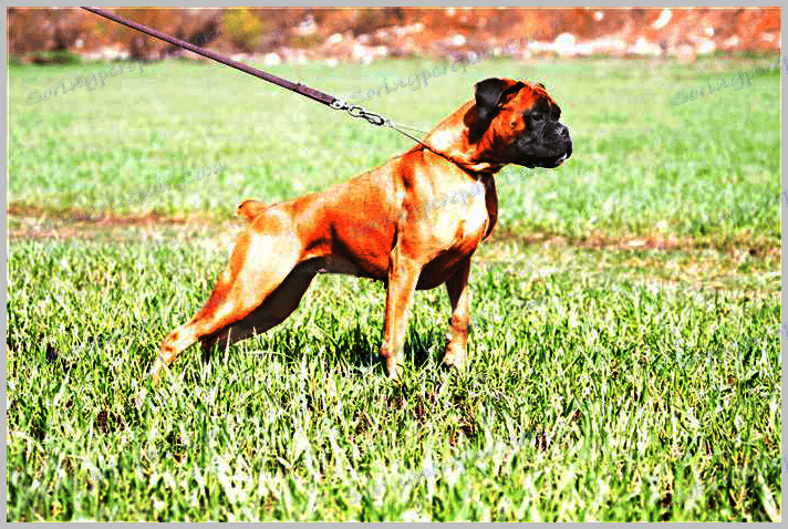 Darken Photos в Photoshop