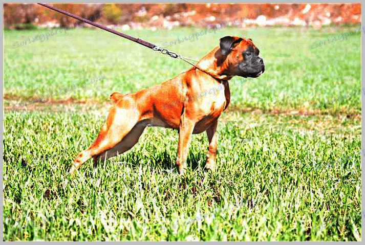 Darken Photos в Photoshop