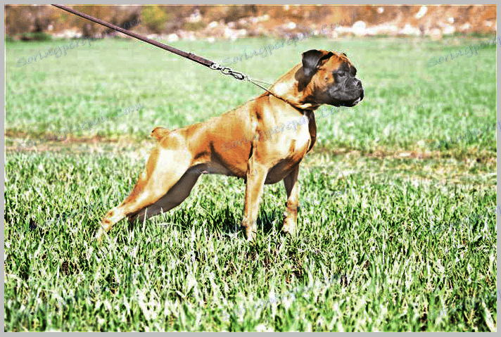 Darken Photos в Photoshop