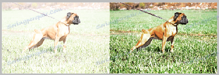Darken Photos в Photoshop