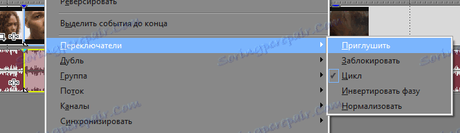 قطع در Sony Vegas را قطع کنید