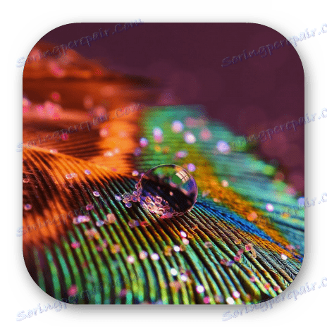 Avazun online foto editor