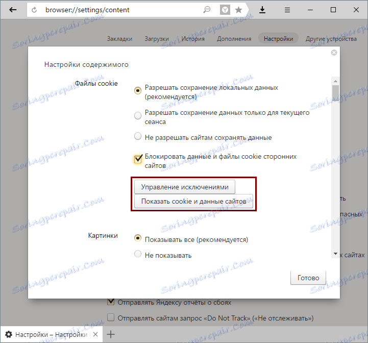 Dodatne nastavitve piškotka v programu Yandex.Browser