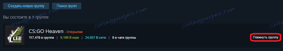 Pustite skupino Steam