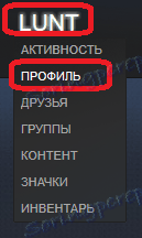 Prejdite na svoju stránku profilu v službe Steam