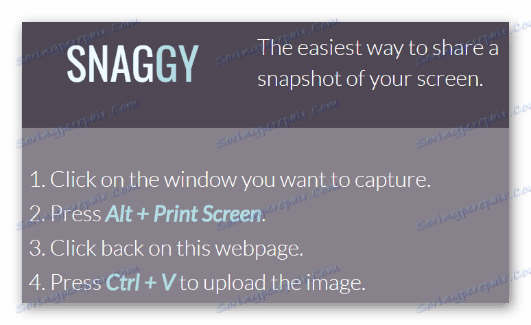 تعليمات للعمل مع Snaggy