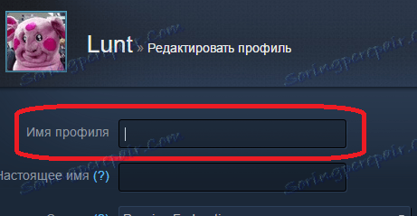 Порожній нік в Steam