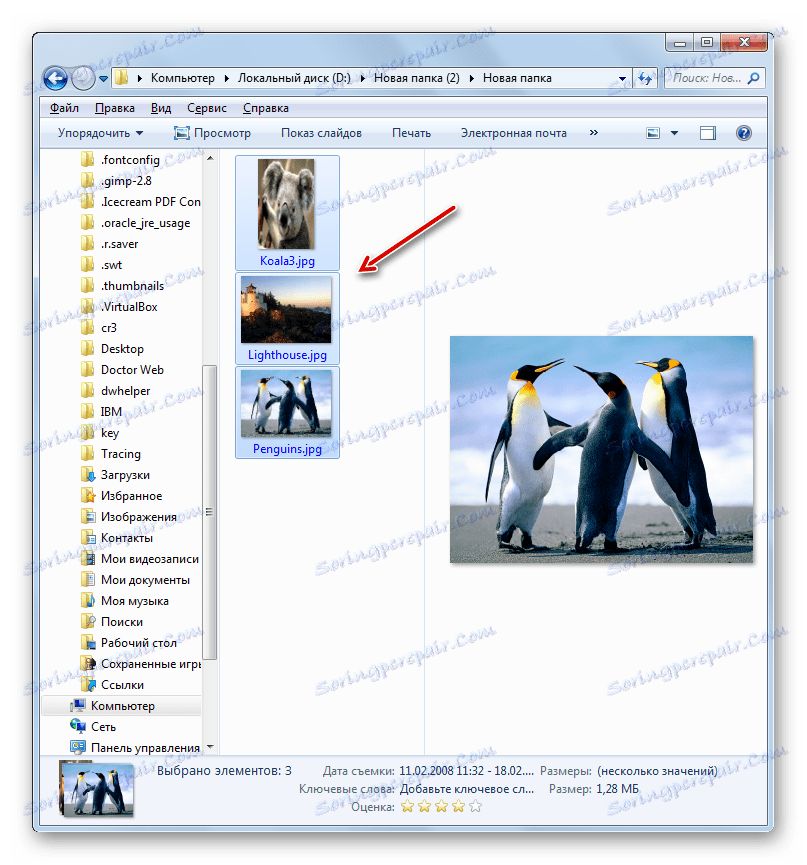 محتوای آرشیو ZIP در ویندوز اکسپلورر باز شده است