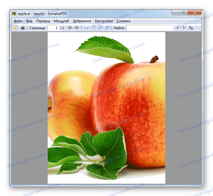 Вміст файлу в форматі AI відкрито в програмі SumatraPDF