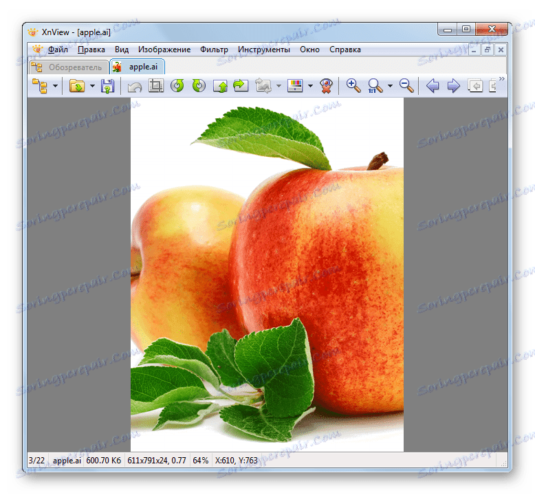 Вміст файлу в форматі AI відкрито в програмі XnView