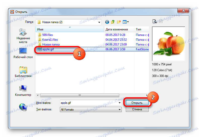 Вікно відкриття файлу в програмі FastStone Image Viewer