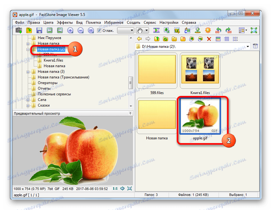 Запуск файлу GIF через файловий менеджер в програмі FastStone Image Viewer