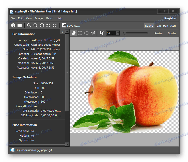Зображення GIF відкрито в програмі File Viewer Plus