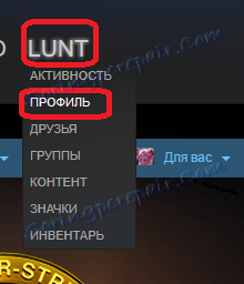 به نمای Steam خود بروید