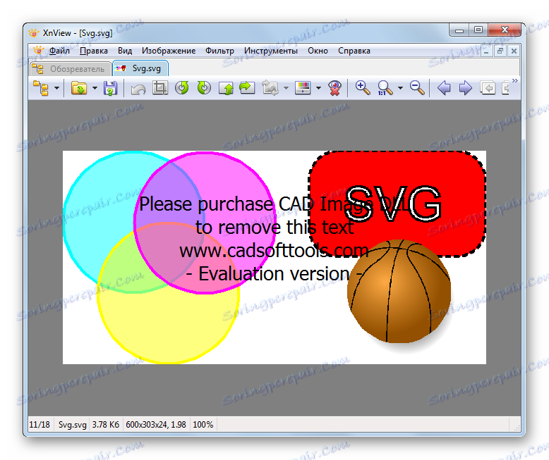 تصویر SVG در زبانه جدید در XnView باز است
