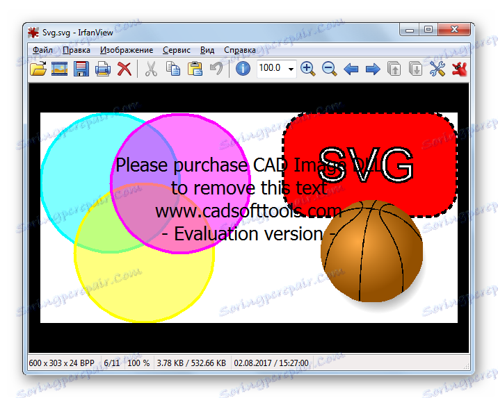 فایل SVG در IrfanView باز شد